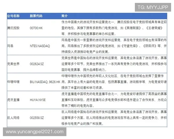电竞职业联赛全面解析：发展历程、竞争格局与未来趋势展望