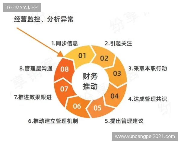 CFO与FNC角色差异分析:财务管理与风险控制的核心对比