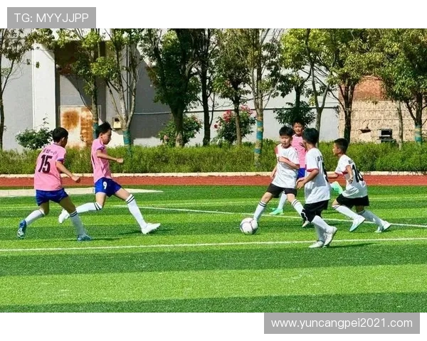 以体育精神为核心推动全民健身与青少年全面发展的实践探索