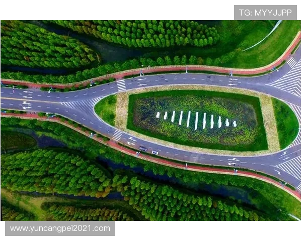 淮安江淮战队：新一代电竞崛起之路与未来发展潜力分析