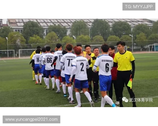 绿茵逐梦青春激荡世界足坛荣耀与激情的完美交织