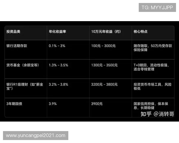 CFO与FNC角色差异分析：财务管理与风险控制的核心对比