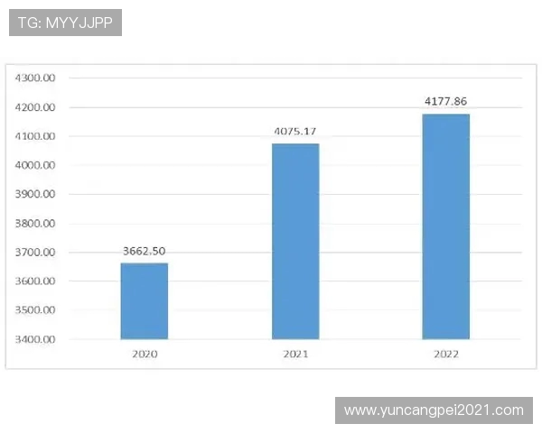 BLG战队在CSGO赛事中的运营策略与市场动态深度分析