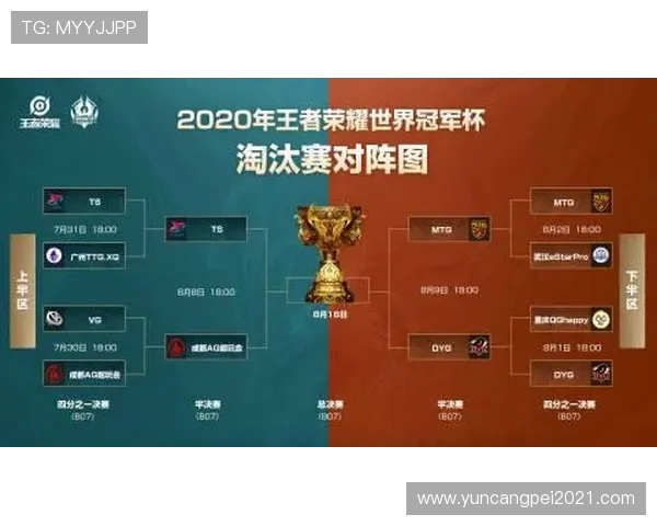 LNG在世界冠军杯中的团队配合分析与表现评估