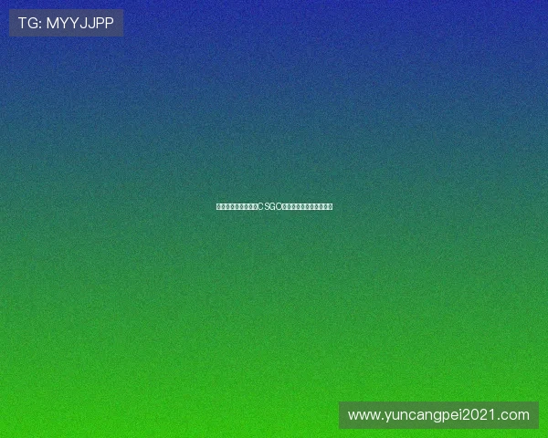 对话杨磊：深入探讨CSGO职业生涯与未来发展之路