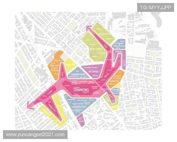 独家分析IG平台节奏对比及其对用户互动的影响探讨