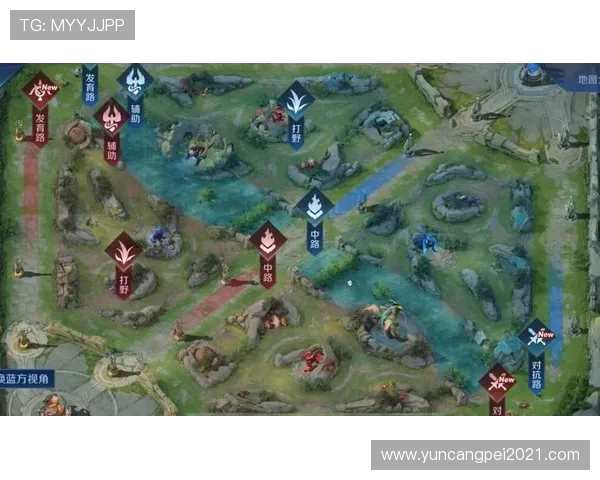 王者荣耀战队IG的节奏分析与战术探讨之路