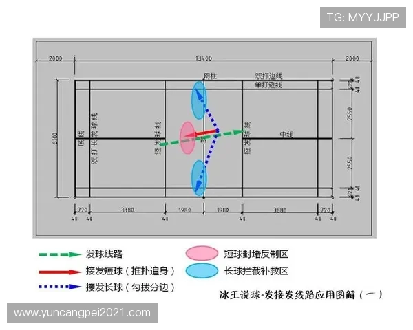 赛后分析重庆羽毛球队与北京羽毛球队的默契配合与战术执行情况